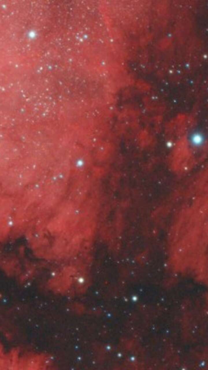 Orion