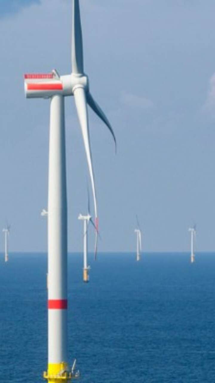 Wind Turbines with yellow base
