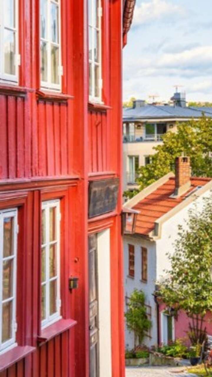 Cobble street with red houses