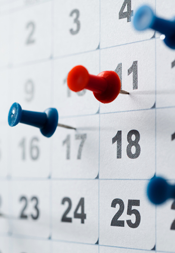 calendar pins