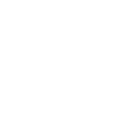 Brain