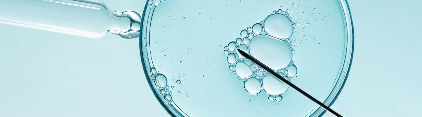 Acquisition of TFP Fertility by Amulet Capital Partners