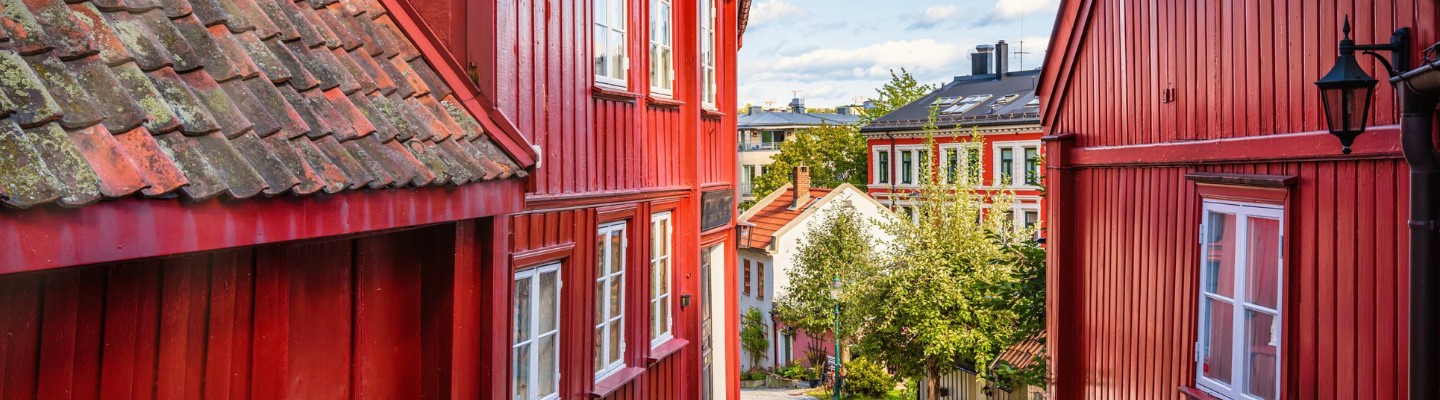 Cobble street with red houses