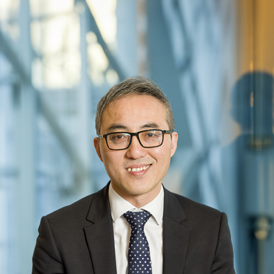 Marty Lau BDO Partner BDO
